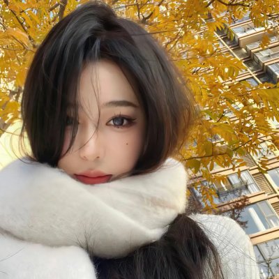 猎鹰计划